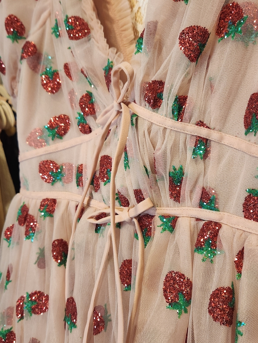Lirika Matoshi Strawberry Dress Bundle Size XL & Pet M - Picture 10 of 16